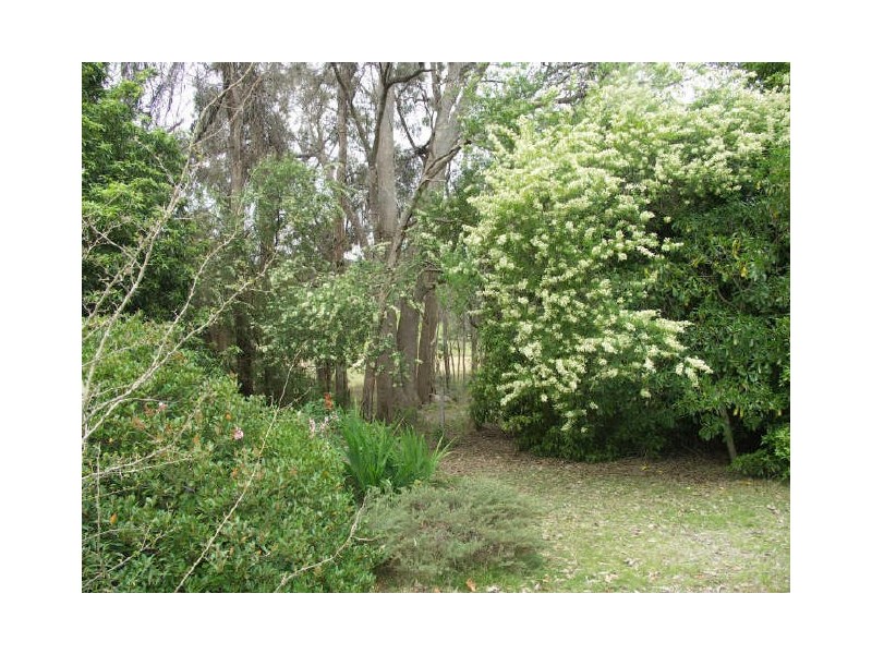 99 Tulley Road, Benalla VIC 3672