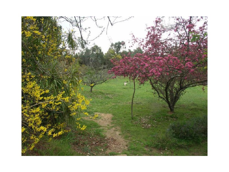 99 Tulley Road, Benalla VIC 3672