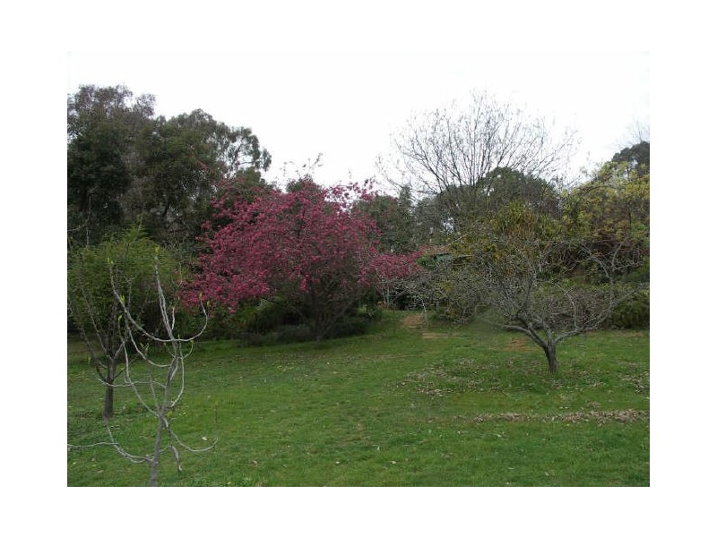 99 Tulley Road, Benalla VIC 3672