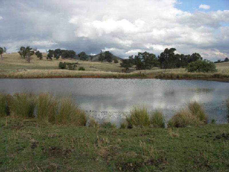 172 Moore Street, Lurg VIC 3673