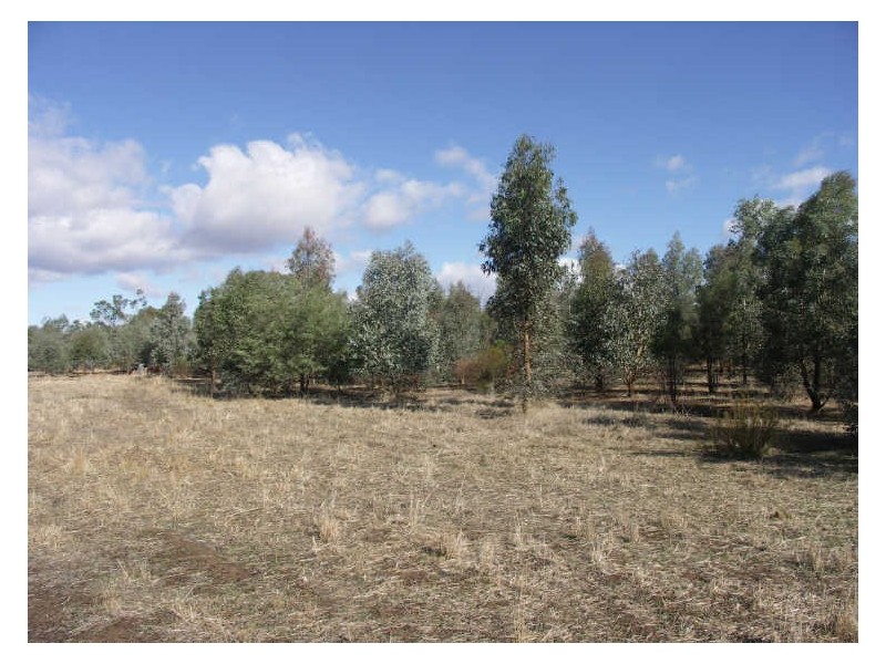 2 Hunter Road, Benalla VIC 3672