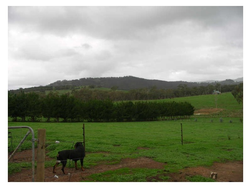 2520 Samaria Road, Benalla VIC 3672