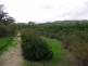2520 Samaria Road, Benalla VIC 3672