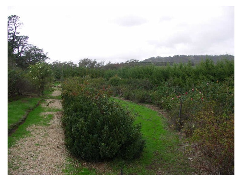 2520 Samaria Road, Benalla VIC 3672