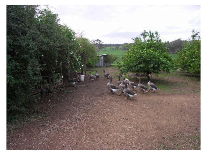 2520 Samaria Road, Benalla VIC 3672
