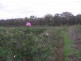 2520 Samaria Road, Benalla VIC 3672