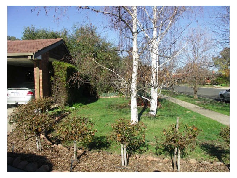 3 Statesman Drive, Benalla VIC 3672