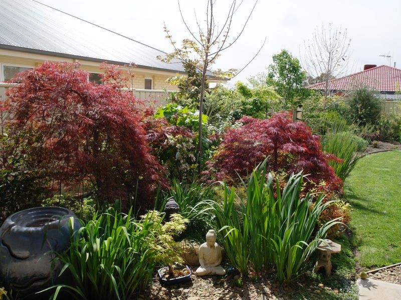 6 Green Court, Benalla VIC 3672