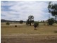 Lot 9 Lake Mokoan Road, Benalla VIC 3672