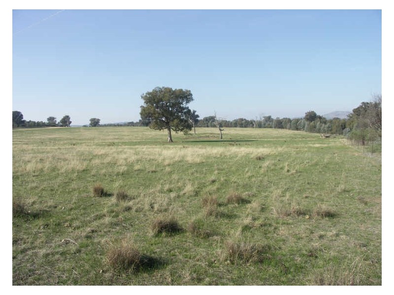 500 Winton-Glenrowan Road  WINTON, Benalla VIC 3672