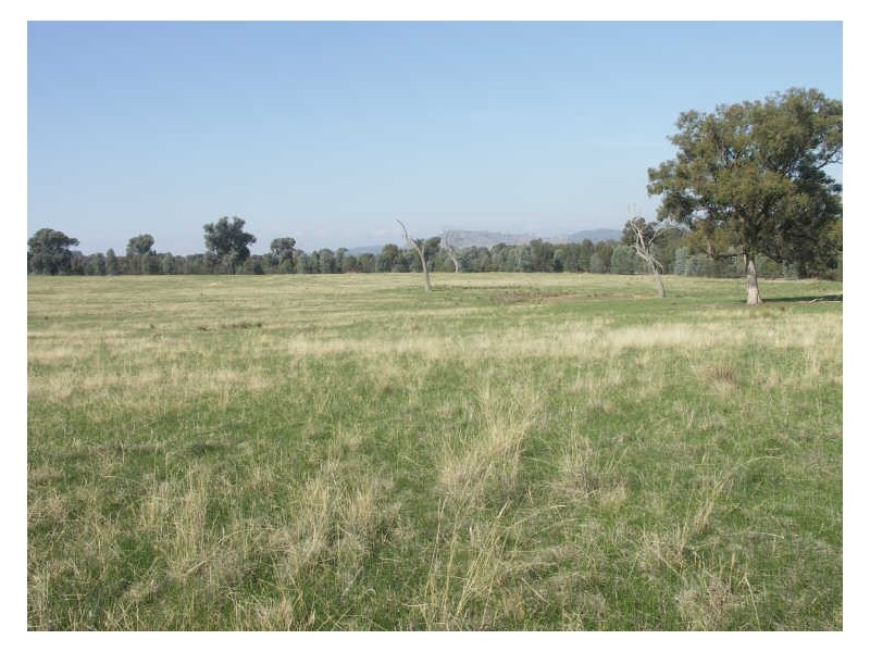 500 Winton-Glenrowan Road  WINTON, Benalla VIC 3672