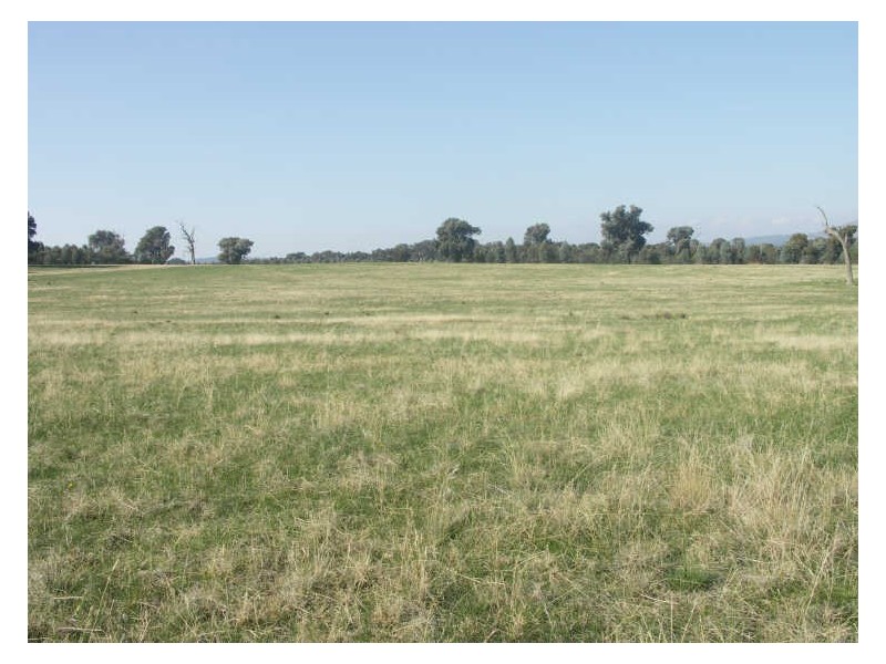 500 Winton-Glenrowan Road  WINTON, Benalla VIC 3672