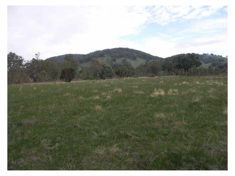 109 Swanpool – Warrenbayne Rd., Benalla VIC 3672