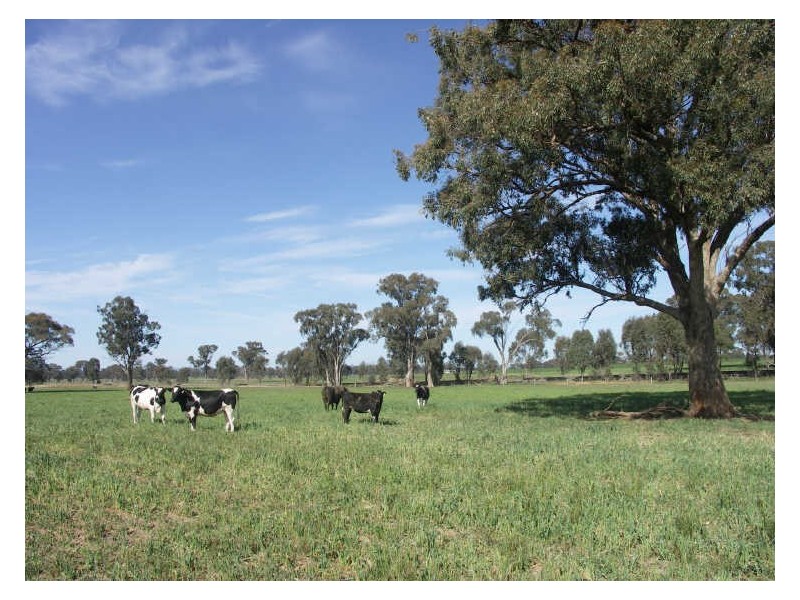 175 Hooper Road Goorambat, Benalla VIC 3672