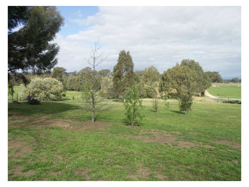 175 Hooper Road Goorambat, Benalla VIC 3672