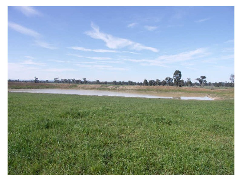 175 Hooper Road Goorambat, Benalla VIC 3672