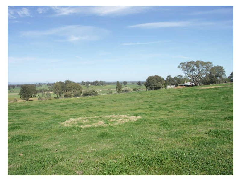 175 Hooper Road Goorambat, Benalla VIC 3672