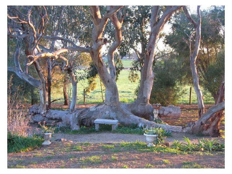 175 Hooper Road Goorambat, Benalla VIC 3672