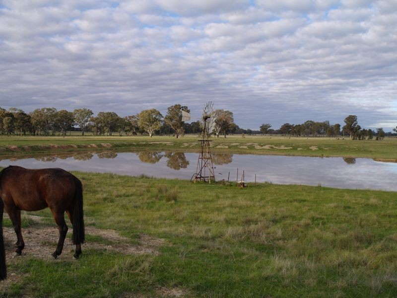 663 Burness Road, Benalla VIC 3672