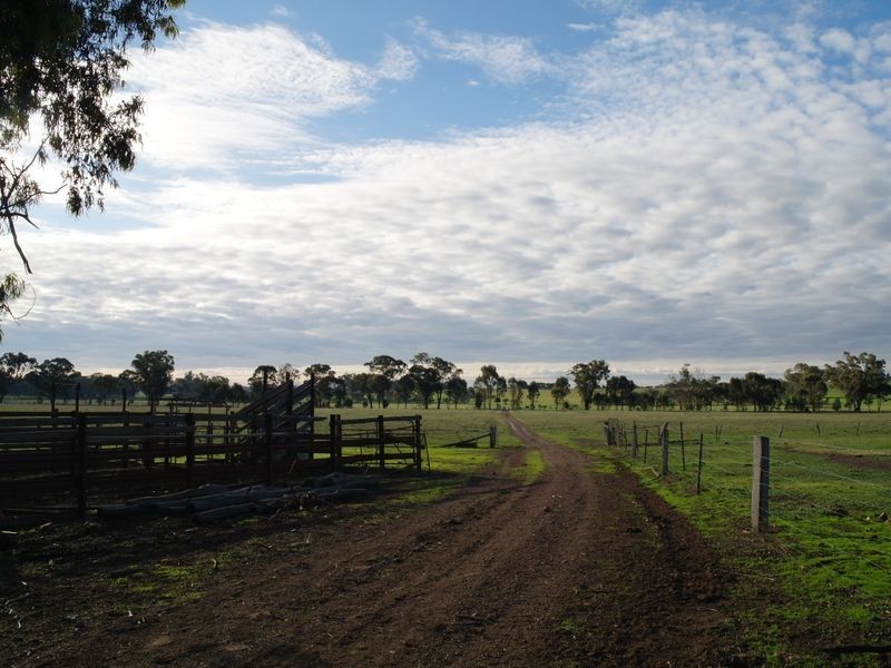 663 Burness Road, Benalla VIC 3672