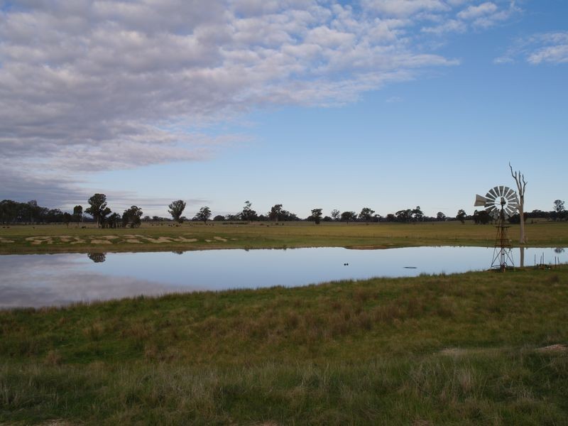 663 Burness Road, Benalla VIC 3672