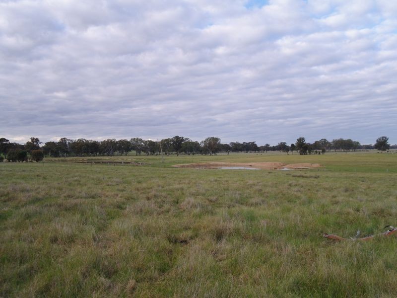 663 Burness Road, Benalla VIC 3672