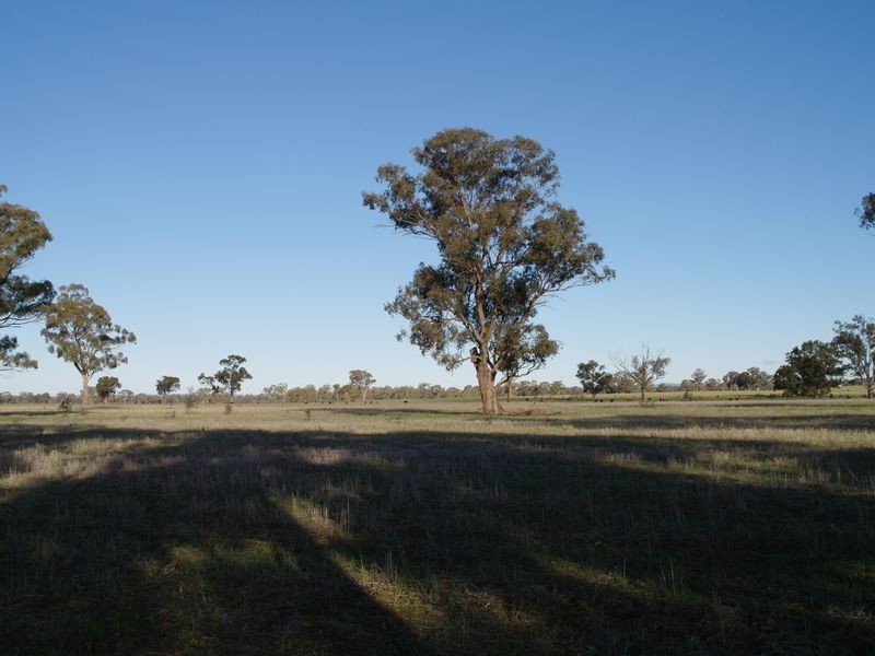 663 Burness Road, Benalla VIC 3672