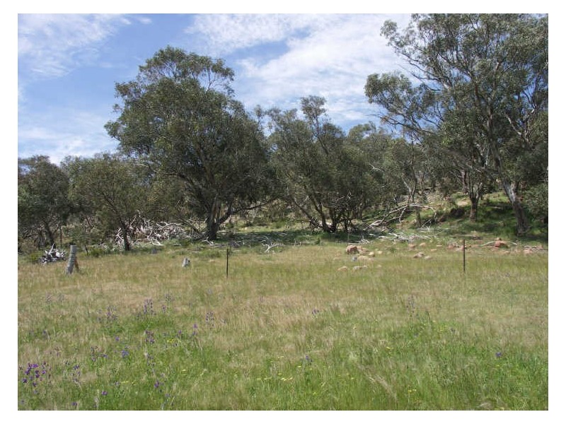 Lot 1 Bowcher Road, Benalla VIC 3672