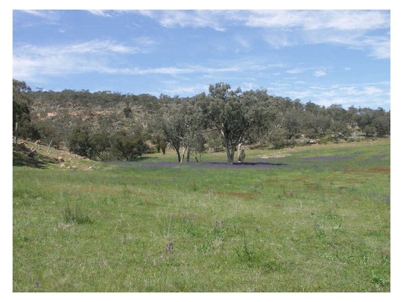Lot 1 Bowcher Road, Benalla VIC 3672