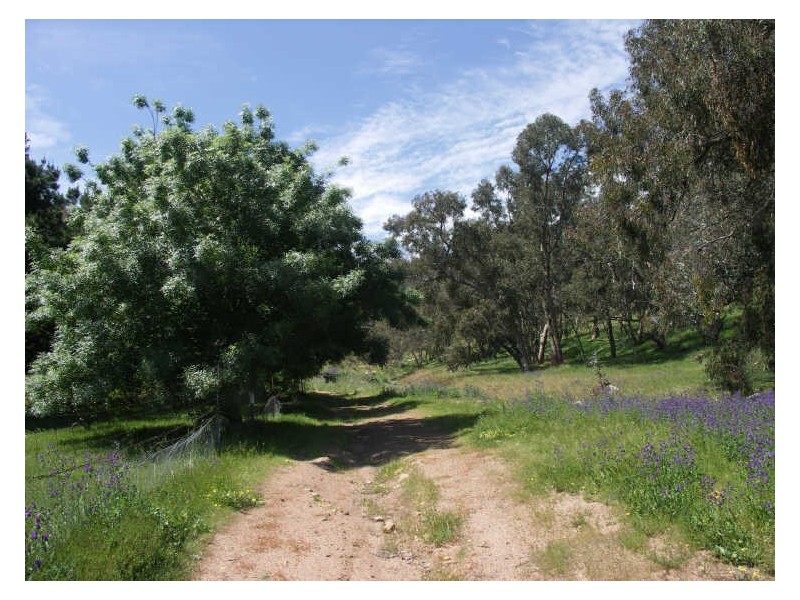 Lot 1 Bowcher Road, Benalla VIC 3672