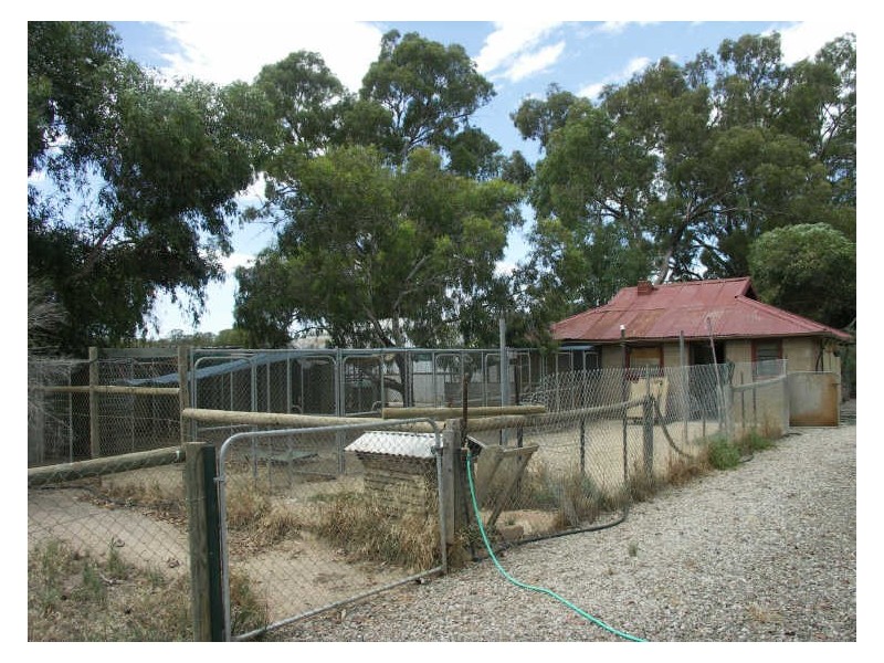 2290 Benalla-Tocumwal Road, Waggarandall VIC 3727