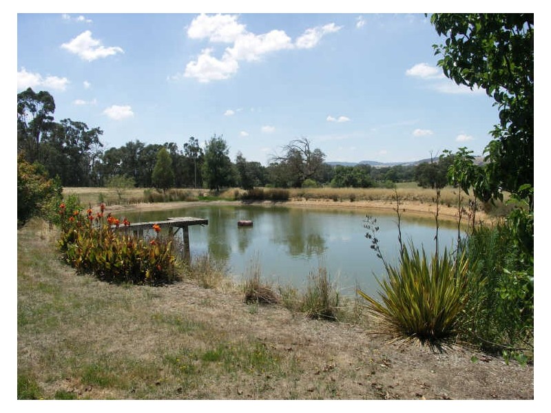 294 Swanpool Road SWANPOOL, Benalla VIC 3672