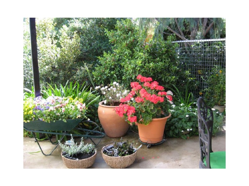 8 Latimer Street, Benalla VIC 3672