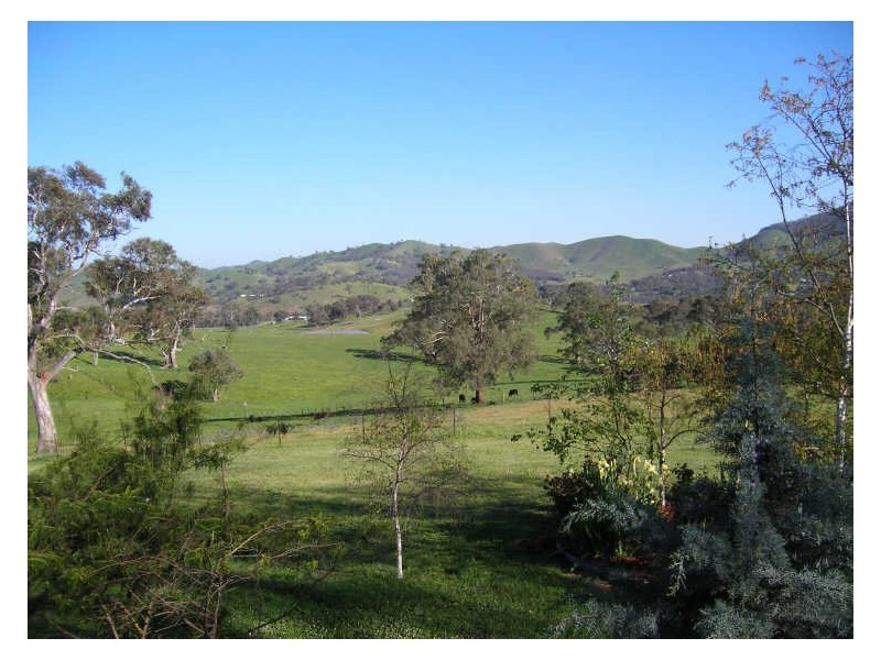 694 Howes Creek Road, Mansfield VIC 3722