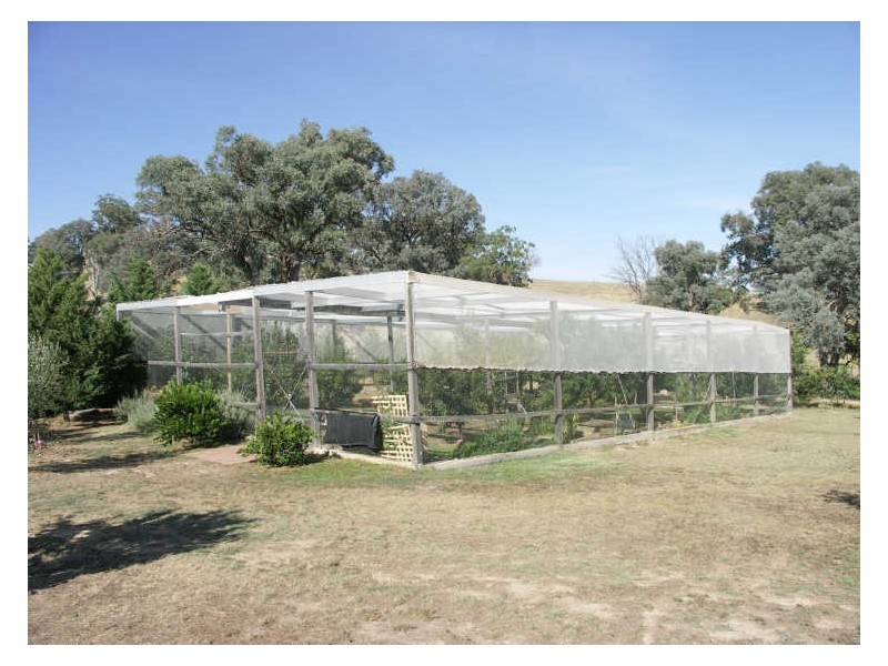 694 Howes Creek Road, Mansfield VIC 3722