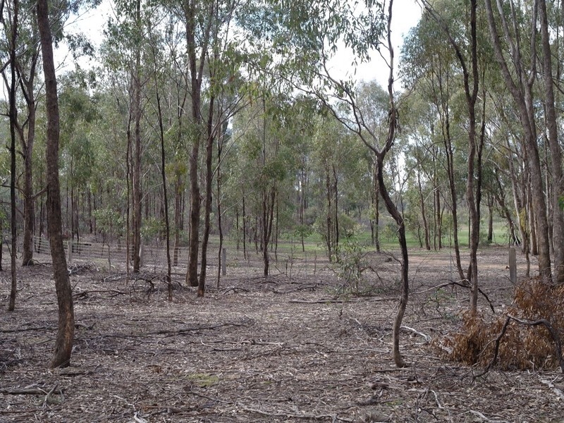 298 Sloan’s Road Tarnook, Benalla VIC 3672