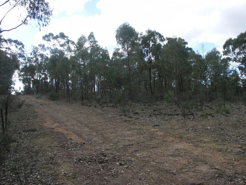 298 Sloan’s Road Tarnook, Benalla VIC 3672