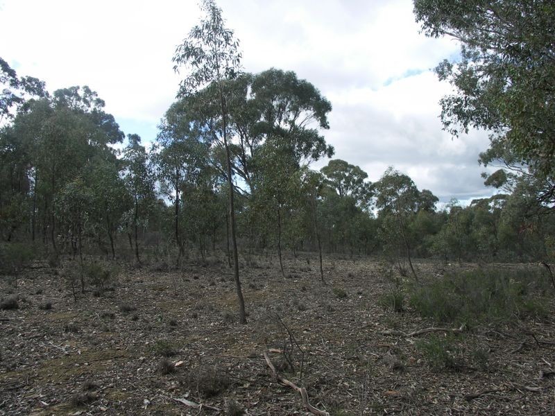 298 Sloan’s Road Tarnook, Benalla VIC 3672