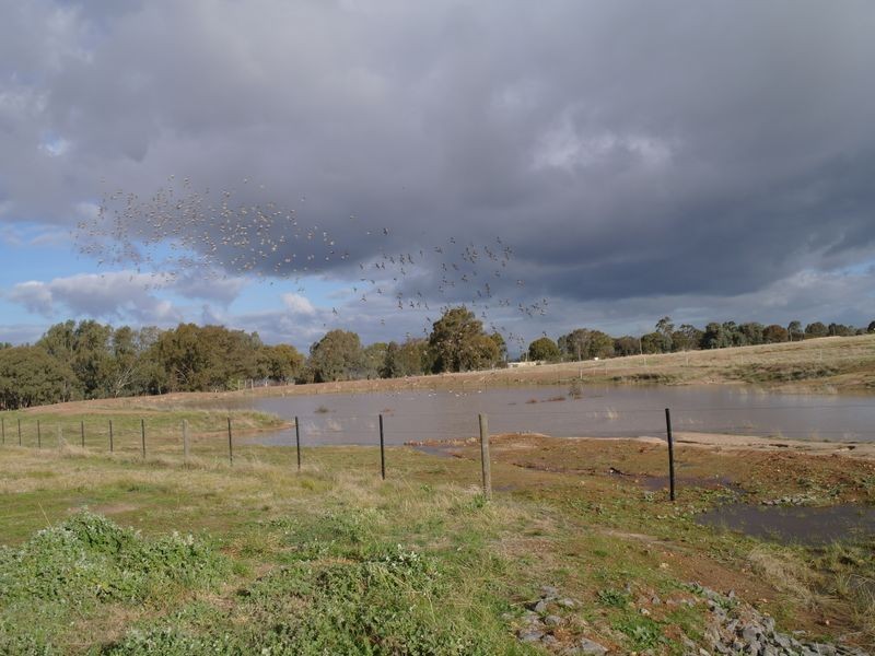 699 Lake Mokoan Road, Benalla VIC 3672