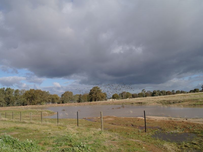 699 Lake Mokoan Road, Benalla VIC 3672