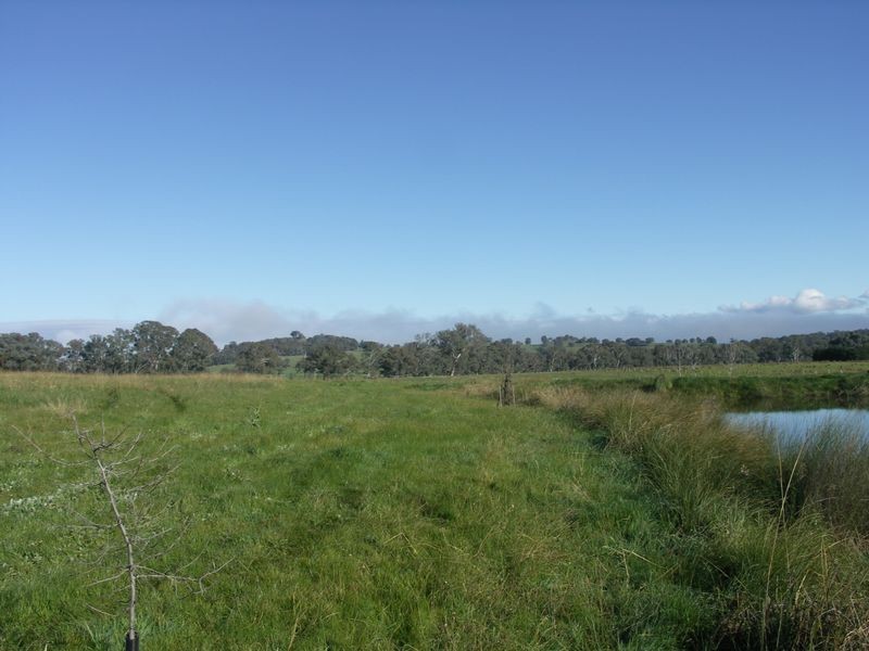 2596 Samaria Road Moorngag, Benalla VIC 3672