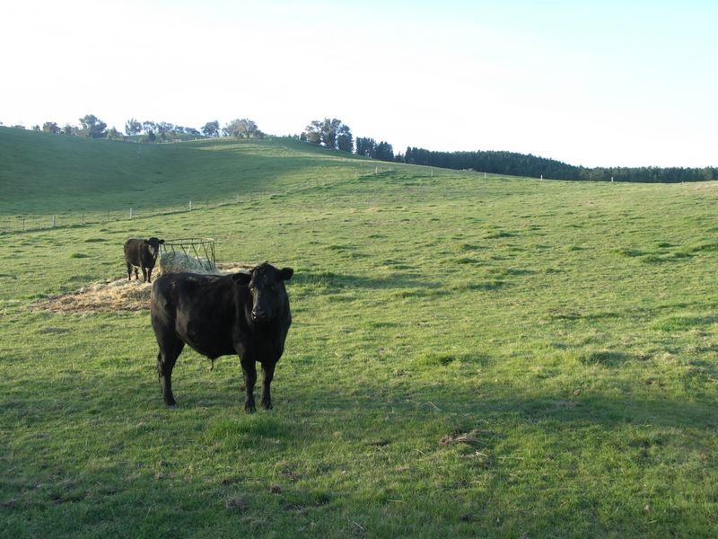 1863 Kilfeera Road MOLYULLAH, Benalla VIC 3672