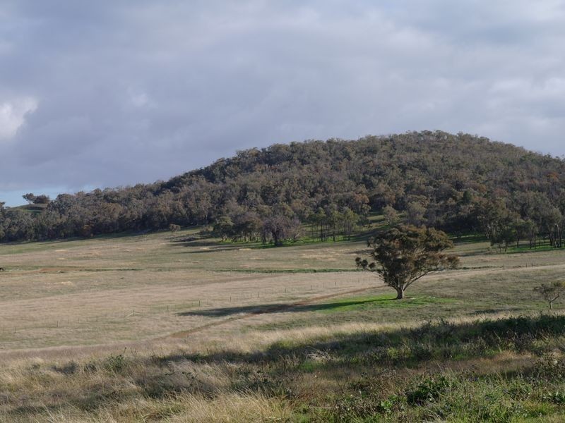 Lot 29 Lake Mokoan Road, Benalla VIC 3672