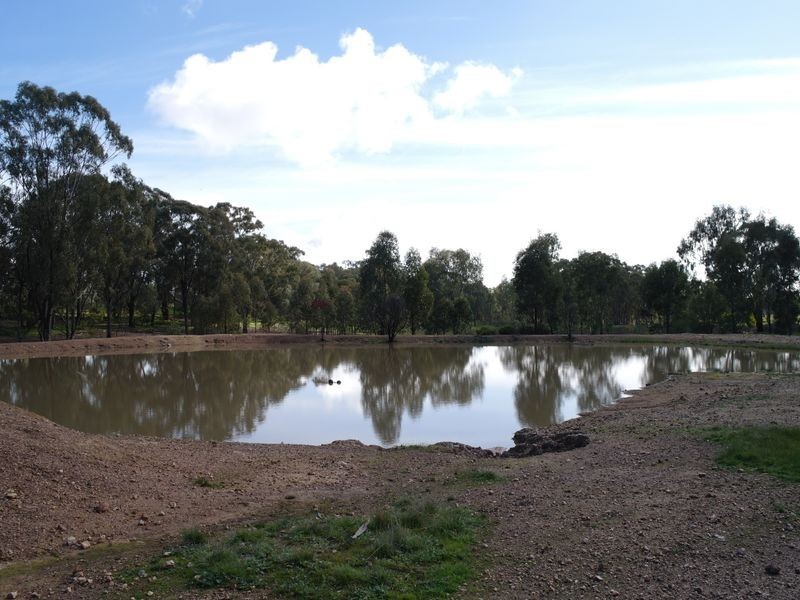 382 Kelleher Road, Benalla VIC 3672