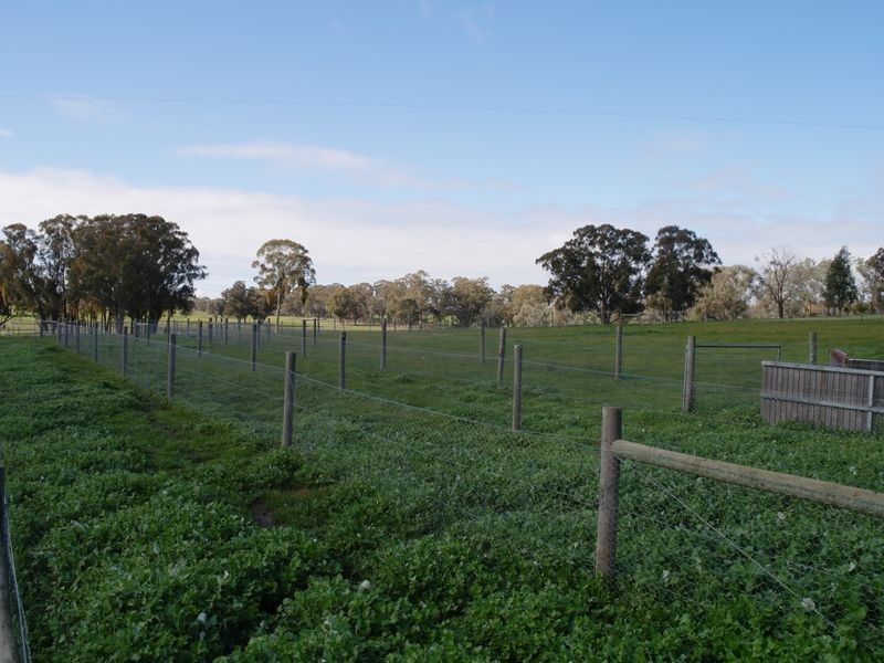 382 Kelleher Road, Benalla VIC 3672