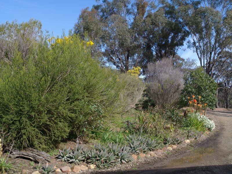 382 Kelleher Road, Benalla VIC 3672