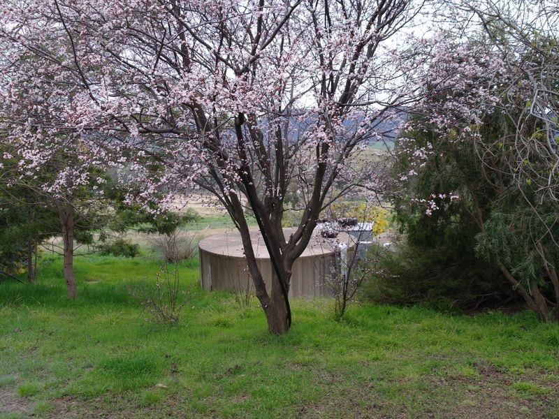 56 Stephens Road Tatong, Benalla VIC 3673