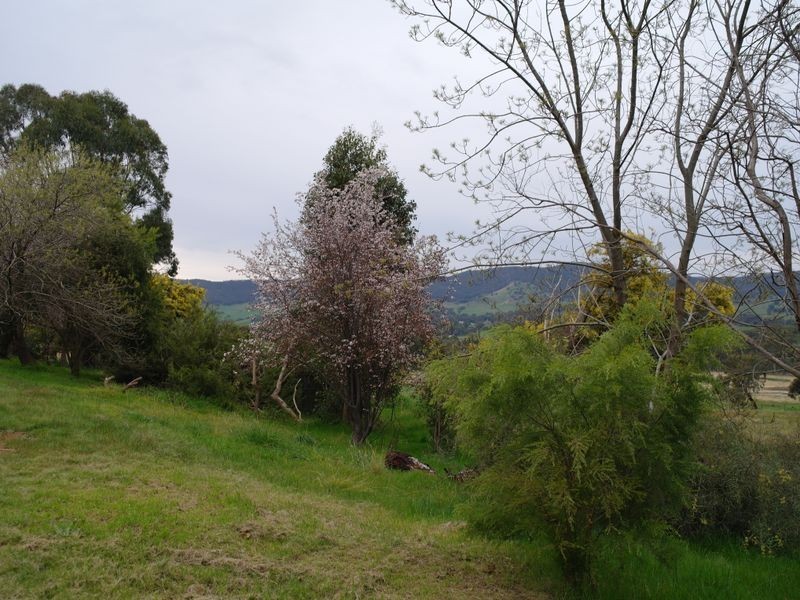 56 Stephens Road Tatong, Benalla VIC 3673