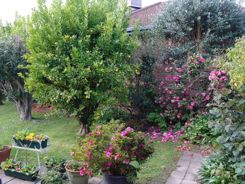 9 Psaltis Parade, Benalla VIC 3672