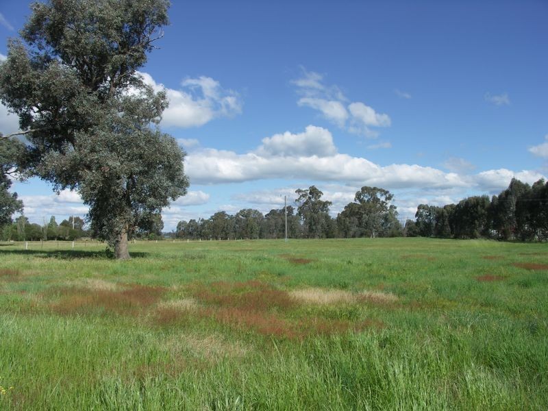 1/24 Inglis Road, Benalla VIC 3672